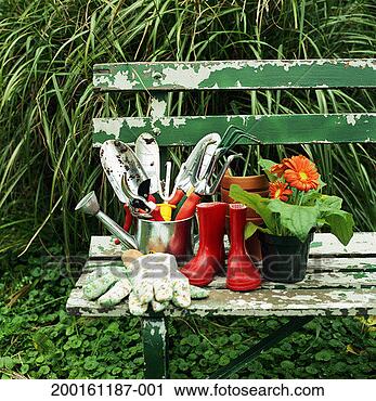 Stock Photography - gardening tools 
and gerber daisy 
(gerbera jamesonii) 
on bench. fotosearch 
- search stock 
photos, pictures, 
images, and photo 
clipart