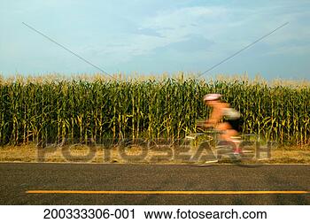 Stock Photography - person riding 
bicycle past corn 
field (blurred 
motion). fotosearch 
- search stock 
photos, pictures, 
images, and photo 
clipart