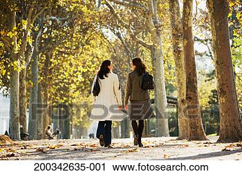 Stock Photography - two women walking 
along avenue of 
trees, rear view, 
ground view. fotosearch 
- search stock 
photos, pictures, 
images, and photo 
clipart