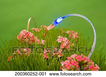 Stock Photography - usb cable connection 
among flowers, 
close-up. fotosearch 
- search stock 
photos, pictures, 
images, and photo 
clipart