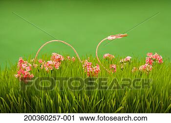 Stock Photography - usb cable among 
flowers, close-up. 
fotosearch - search 
stock photos, 
pictures, images, 
and photo clipart