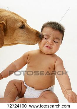 Stock Photography - dog sniffing baby 
boy (15-18 months) 
in nappy, sitting 
on floor. fotosearch 
- search stock 
photos, pictures, 
images, and photo 
clipart