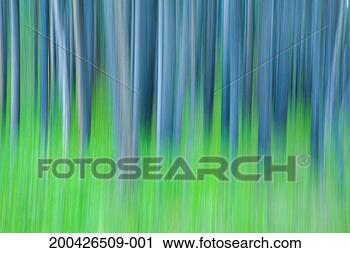 Stock Photography - blurred view of 
forest and grasses 
(long exposure). 
fotosearch - search 
stock photos, 
pictures, images, 
and photo clipart