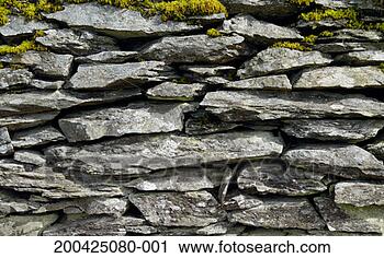 Stock Photography - moss growing on 
dry stone wall, 
close-up. fotosearch 
- search stock 
photos, pictures, 
images, and photo 
clipart