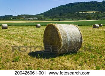 Stock Photography - spain, bails of 
hay lying in field. 
fotosearch - search 
stock photos, 
pictures, images, 
and photo clipart