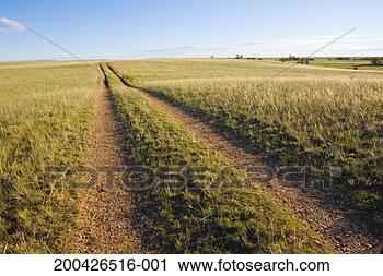 Stock Photography - usa, montana, 
bowdoin national 
wildlife refuge, 
dirt road. fotosearch 
- search stock 
photos, pictures, 
images, and photo 
clipart