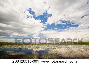 Stock Photography - usa, montana, 
flooded prairie 
reflecting clouds 
with rocky mountains. 
fotosearch - search 
stock photos, 
pictures, images, 
and photo clipart