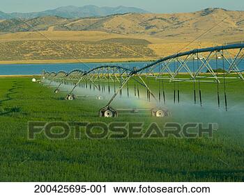 Stock Photography - usa, utah, sprinklers 
watering farm 
grass. fotosearch 
- search stock 
photos, pictures, 
images, and photo 
clipart