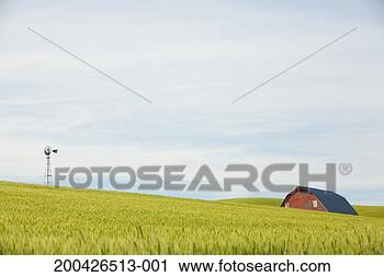 Stock Photography - usa, washington, 
palouse, barn 
and windmill in 
wheat field. fotosearch 
- search stock 
photos, pictures, 
images, and photo 
clipart