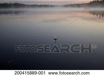 Stock Photography - water splashing 
in lake, close-up. 
fotosearch - search 
stock photos, 
pictures, images, 
and photo clipart