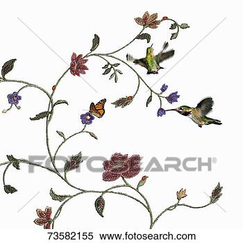 Banque d'Image - colibris,  papillons,
fleur,  vigne.
fotosearch - recherchez
des photos, des
images et des
cliparts