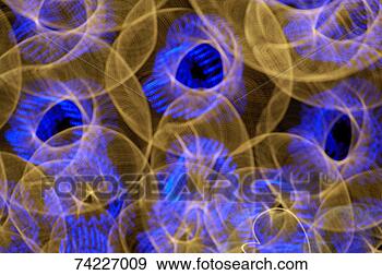 Stock Photograph - 'abstract light 
circles, full 
frame'. fotosearch 
- search stock 
photos, pictures, 
images, and photo 
clipart