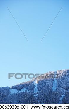 Stock Photography - canada, british 
columbia, whistler, 
ski lifts on snow-covered 
mountain. fotosearch 
- search stock 
photos, pictures, 
images, and photo 
clipart
