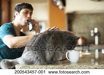 Stock Photography - cat drinking from 
coffee cup while 
young man talks 
on cell phone. 
fotosearch - search 
stock photos, 
pictures, images, 
and photo clipart