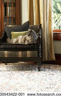 Stock Photography - cat lying on armchair, 
looking away. 
fotosearch - search 
stock photos, 
pictures, images, 
and photo clipart