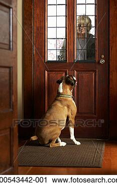 Stock Photography - dog greeting mature 
woman at front 
door, woman smiling. 
fotosearch - search 
stock photos, 
pictures, images, 
and photo clipart