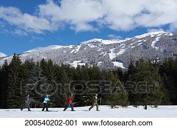 Stock Photography - four adults cross-country 
skiing, side view. 
fotosearch - search 
stock photos, 
pictures, images, 
and photo clipart