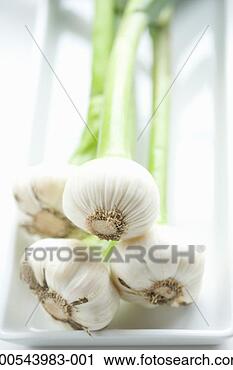 Stock Photography - garlic bulbs on 
serving tray, 
elevated view 
(focus on bulbs). 
fotosearch - search 
stock photos, 
pictures, images, 
and photo clipart