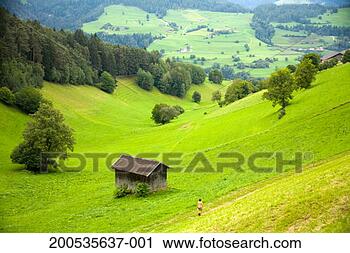 Stock Photography - italy, trentino-alto 
adige, alto adige, 
woman hiking, 
rear view. fotosearch 
- search stock 
photos, pictures, 
images, and photo 
clipart