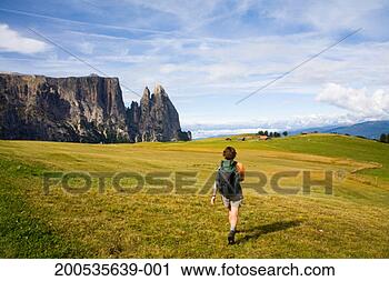 Stock Photography - italy, trentino-alto 
adige, alto adige, 
woman hiking, 
rear view. fotosearch 
- search stock 
photos, pictures, 
images, and photo 
clipart