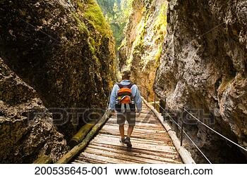 Stock Photography - italy, trentino-alto 
adige, alto adige, 
male hiker on 
footbridge. fotosearch 
- search stock 
photos, pictures, 
images, and photo 
clipart