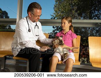 Stock Photography - male vet looking 
at girl's (9-11) 
pet rabbit in 
waiting room. 
fotosearch - search 
stock photos, 
pictures, images, 
and photo clipart