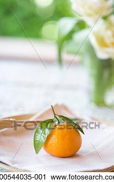 Stock Photography - orange atop plate 
and napkin (focus 
on orange). fotosearch 
- search stock 
photos, pictures, 
images, and photo 
clipart