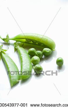 Stock Photography - peas and pea pods. 
fotosearch - search 
stock photos, 
pictures, images, 
and photo clipart