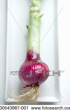 Stock Photography - red onion on serving 
tray, overhead 
view. fotosearch 
- search stock 
photos, pictures, 
images, and photo 
clipart