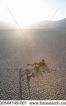Stock Photography - skeleton lying 
on cracked earth 
in desert. fotosearch 
- search stock 
photos, pictures, 
images, and photo 
clipart