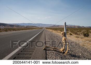 Stock Photography - skeleton at side 
of empty road 
in desert. fotosearch 
- search stock 
photos, pictures, 
images, and photo 
clipart