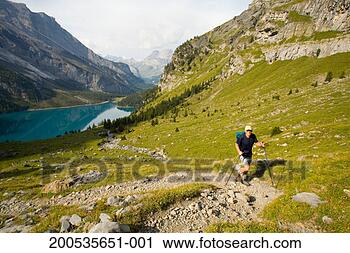 Stock Photography - switzerland, kandersteg, 
senior male hiker 
using hiking poles. 
fotosearch - search 
stock photos, 
pictures, images, 
and photo clipart