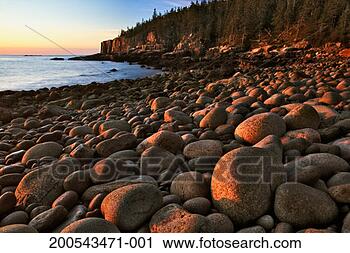 Stock Photography - usa, maine, acadia 
national park, 
otter cliffs and 
beach at sunrise. 
fotosearch - search 
stock photos, 
pictures, images, 
and photo clipart