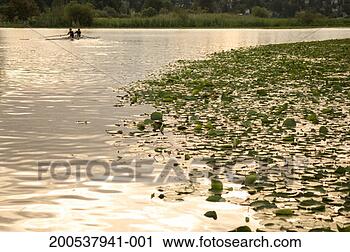 Stock Photography - usa, washington, 
seattle, lake 
washington, two 
people in scull 
at dawn. fotosearch 
- search stock 
photos, pictures, 
images, and photo 
clipart