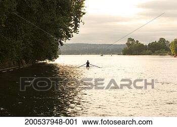 Stock Photography - usa, washington, 
seattle, lake 
washington, woman 
in scull at dawn. 
fotosearch - search 
stock photos, 
pictures, images, 
and photo clipart