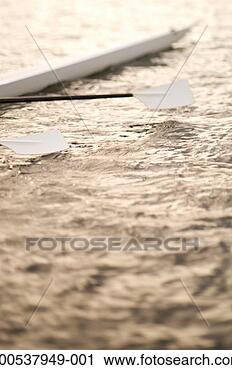 Stock Photography - usa, washington, 
seattle, scull 
in lake washington 
at dawn. fotosearch 
- search stock 
photos, pictures, 
images, and photo 
clipart