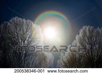 Stock Photography - usa, wyoming, 
encampment, sun 
shining through 
trees at dawn, 
winter. fotosearch 
- search stock 
photos, pictures, 
images, and photo 
clipart