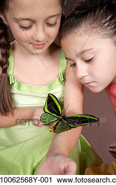 Stock Photography - two girls (5-7) 
holding and looking 
at large butterfly. 
fotosearch - search 
stock photos, 
pictures, images, 
and photo clipart
