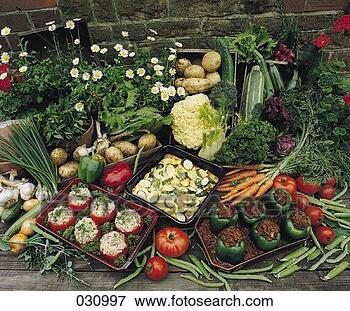Picture - cauliflower, courgette, 
fennel, flower, 
food, garden. 
fotosearch - search 
stock photos, 
pictures, images, 
and photo clipart