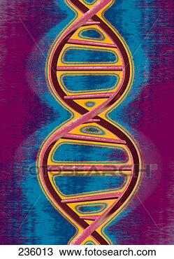 Drawing - background, biotechnology, 
close up, dna, 
digital design, 
double helix. 
fotosearch - search 
clipart, illustration, 
drawings and vector 
eps graphics images