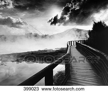 Stock Photo - heaven`s walkway, 
rotorua, new zealand, 
australasia. fotosearch 
- search stock 
photos, pictures, 
images, and photo 
clipart