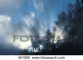 Stock Image - north island, 
new zealand. fotosearch 
- search stock 
photos, pictures, 
images, and photo 
clipart