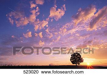 Stock Photography - sussex, new brunswick, 
canada. fotosearch 
- search stock 
photos, pictures, 
images, and photo 
clipart