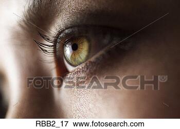 Foto - fim,  cima,  tiro, 
 bonito,  verde, 
 olho. fotosearch 
- busca de fotos, 
imagens e clipart