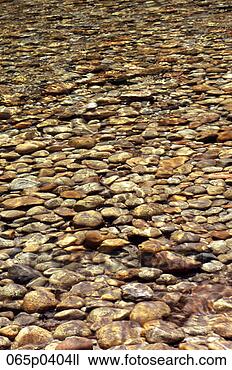 Stock Photo - a rock covered 
stream bottom. 
fotosearch - search 
stock photos, 
pictures, images, 
and photo clipart