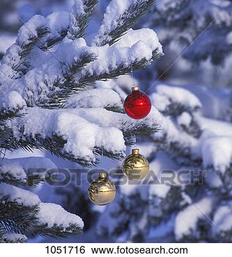 Stock Photo - a tree covered 
in snow with christmas 
ornaments. fotosearch 
- search stock 
photos, pictures, 
images, and photo 
clipart