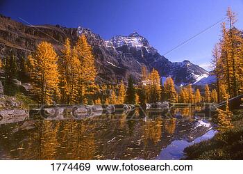 Stock Photograph - breathtaking mountain 
scenery. fotosearch 
- search stock 
photos, pictures, 
images, and photo 
clipart