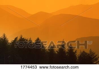 Stock Photo - trees silhouetted 
against amber 
hills. fotosearch 
- search stock 
photos, pictures, 
images, and photo 
clipart