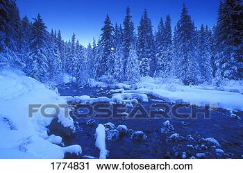 Stock Photography - winter wonderland. 
fotosearch - search 
stock photos, 
pictures, images, 
and photo clipart