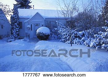 Picture - house and garden 
covered in snow. 
fotosearch - search 
stock photos, 
pictures, images, 
and photo clipart